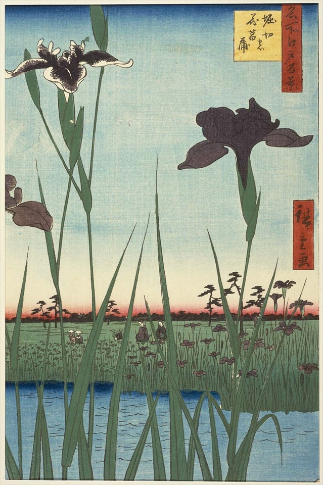 The examples of haiku poems about flowers - Masterpieces of Japanese ...